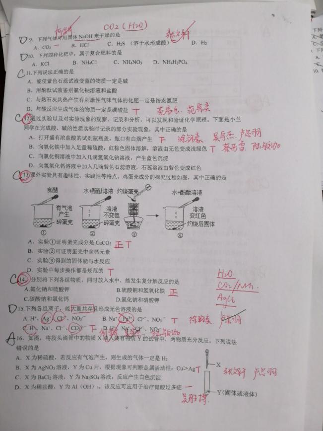 f266643b4cda464abdcdf6f563a23bc3.Jpeg
