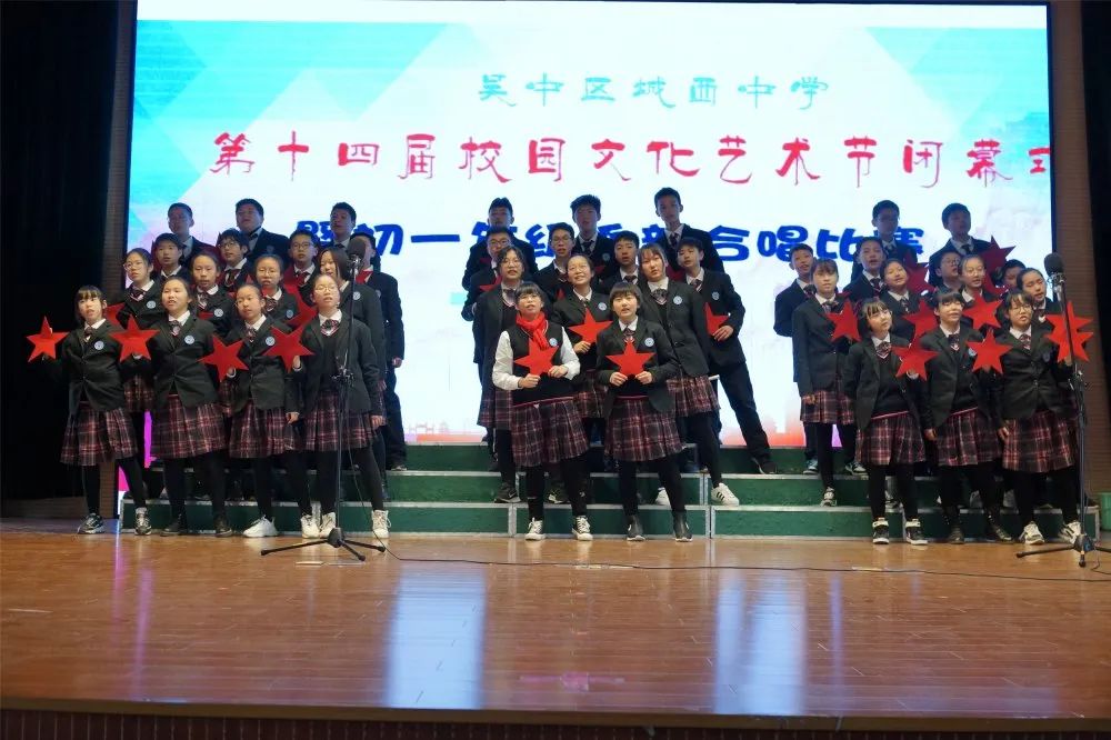 致敬青春 不负韶华——记城西中学第十四届校园文化艺术节活动