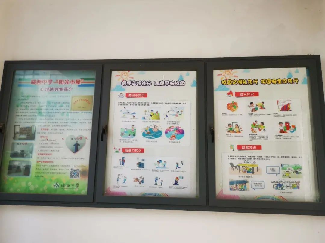 加强安全宣传，提高安全意识 ——城西中学扎实开展安全宣传进校园工作